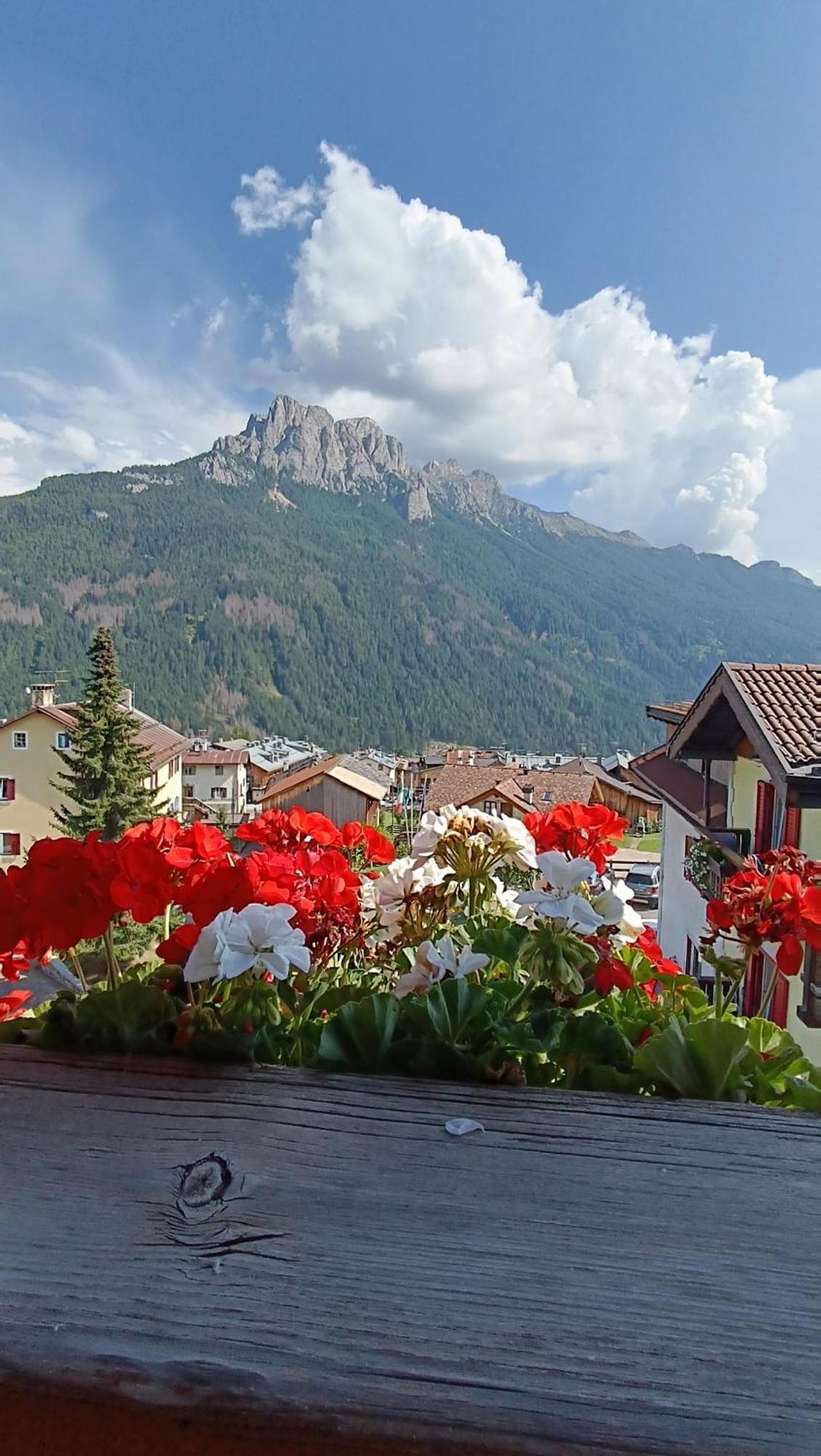 Hotel Vigo Vigo di Fassa Luaran gambar